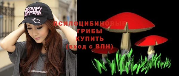 экстази Богданович