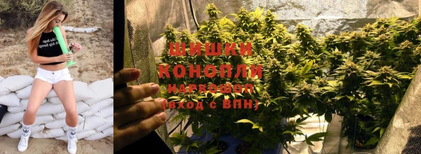 экстази Богданович