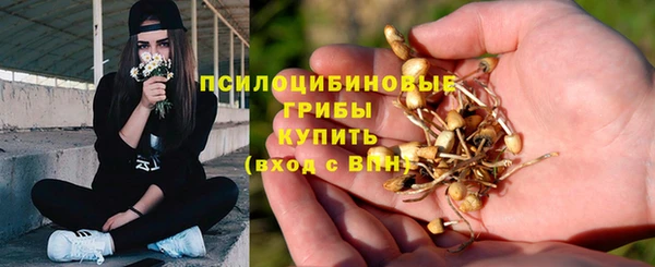 экстази Богданович