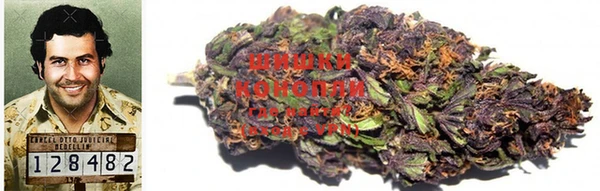 экстази Богданович